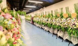 花篮网爆料最新视频,精彩瞬间不容错过